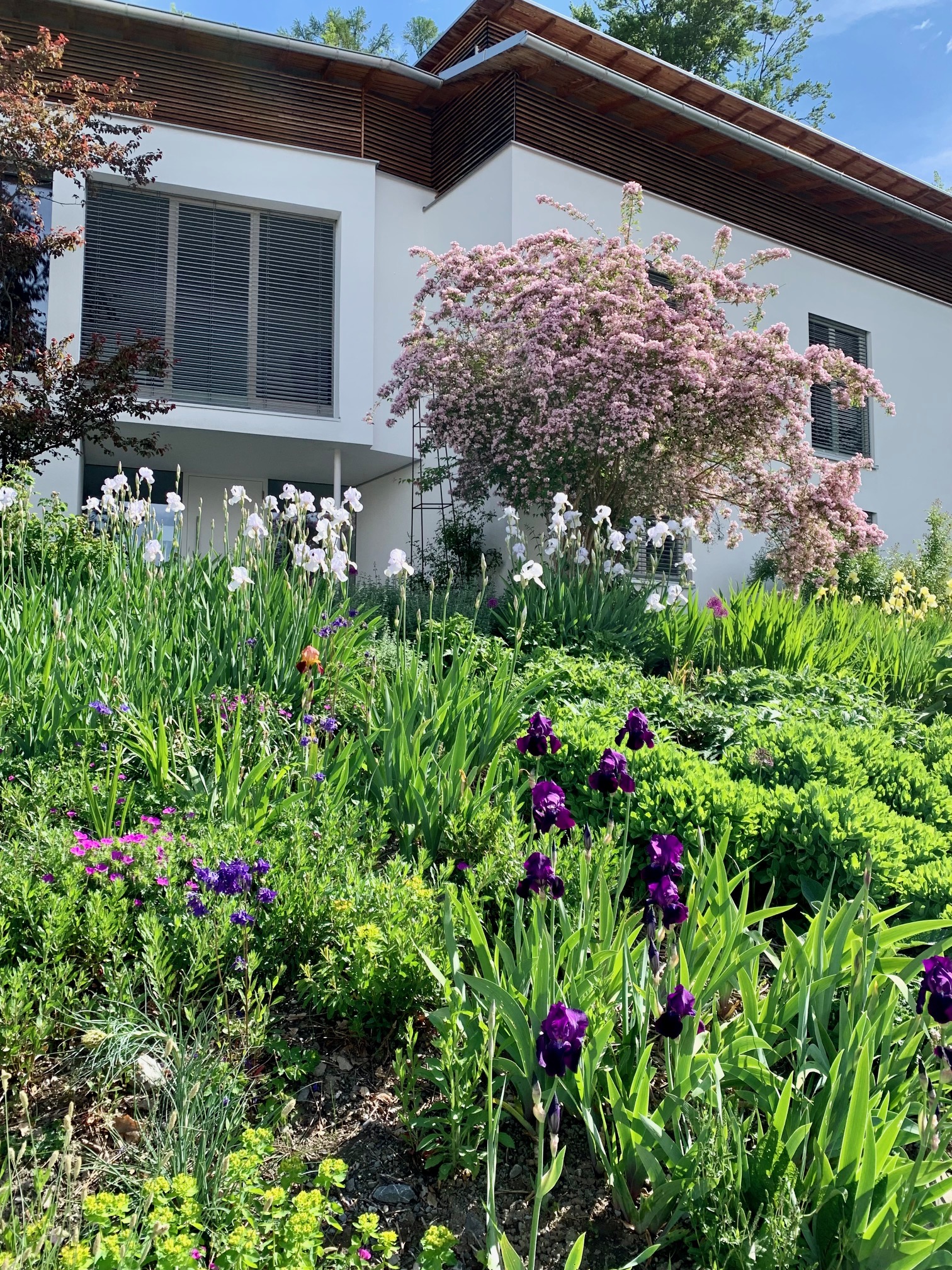 Staudengarten in Arbogast