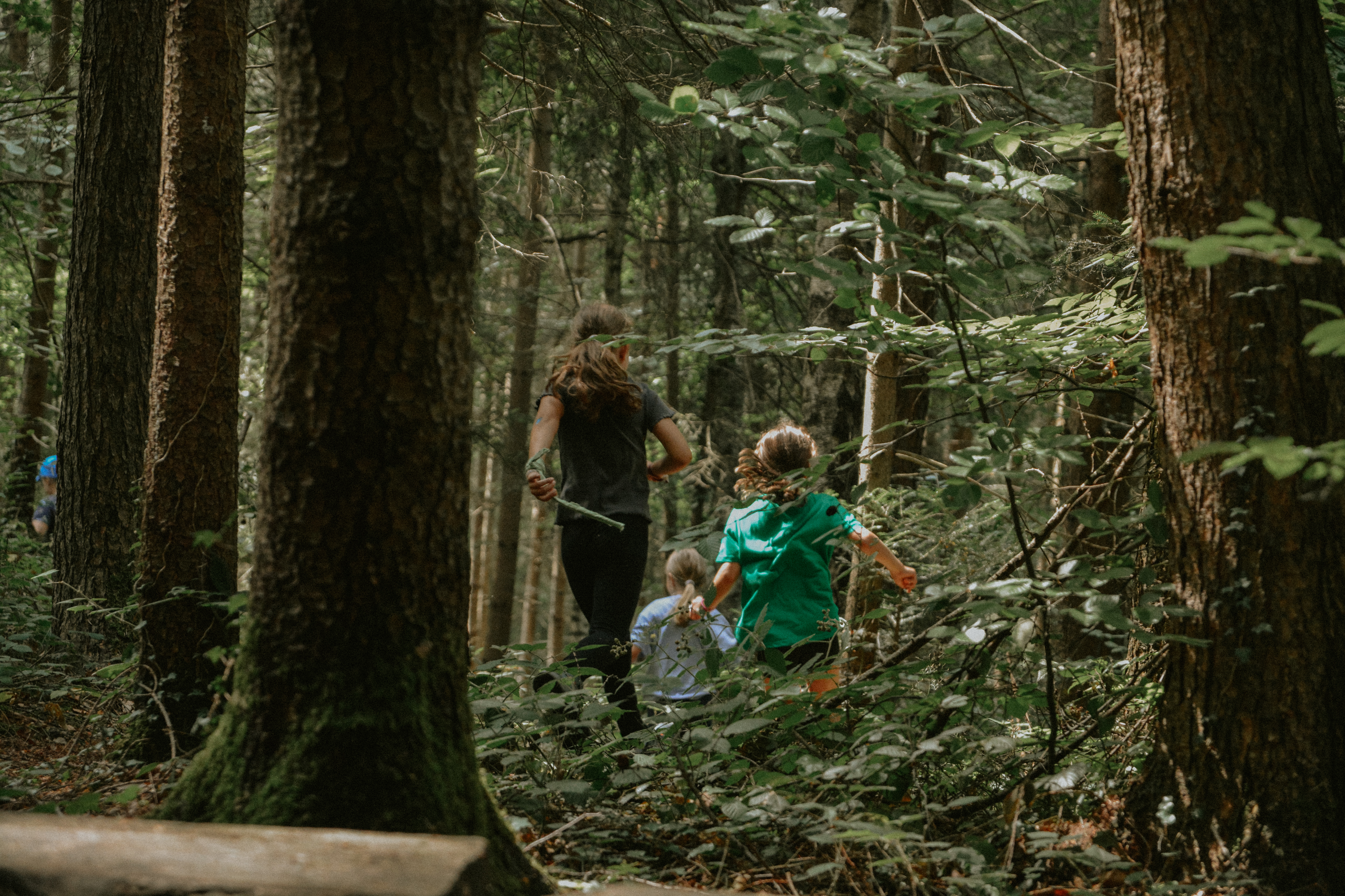 Kinder im Wald in Arbogast