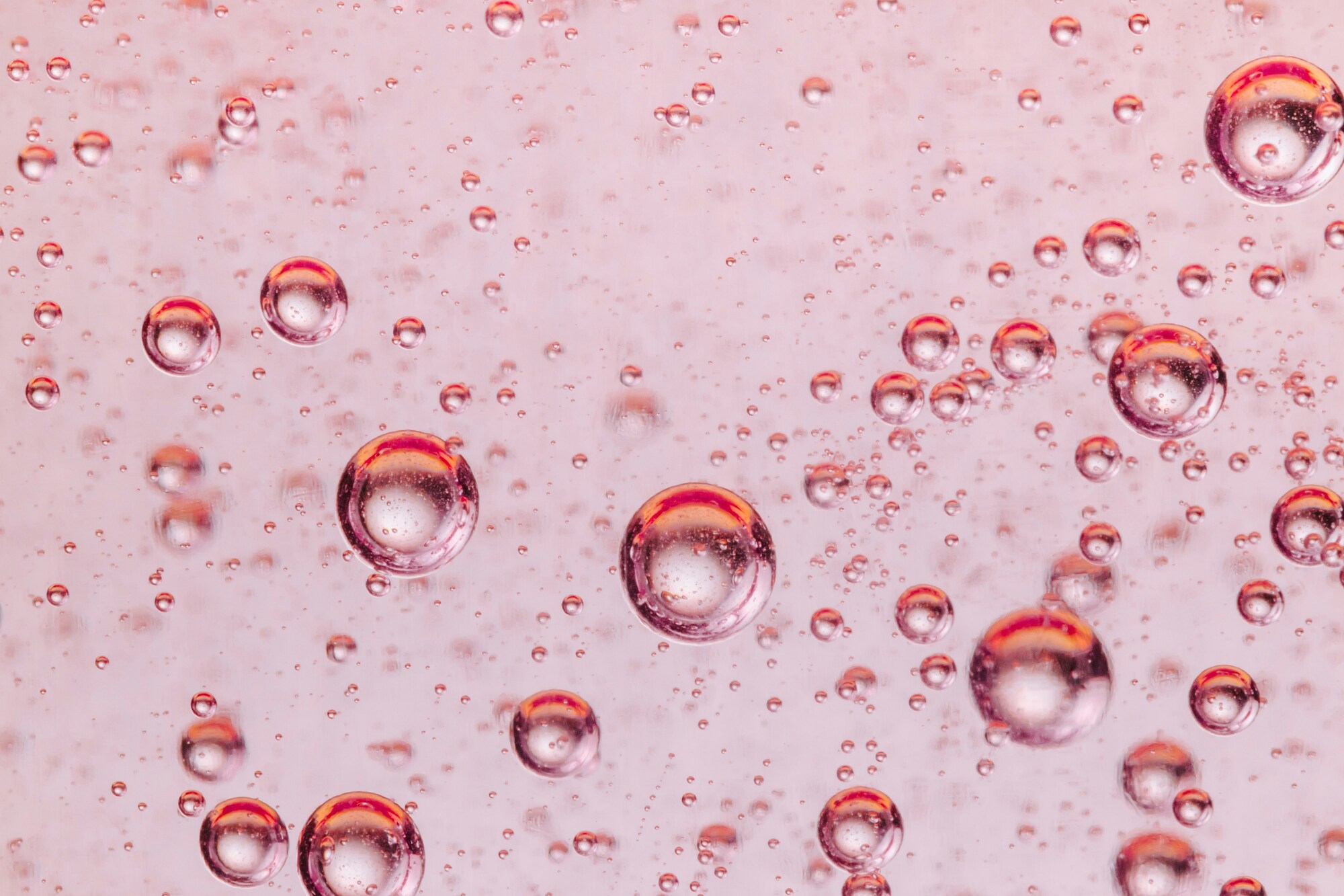 MINT Experimentierküche  - Herstellung von Bubble Tea