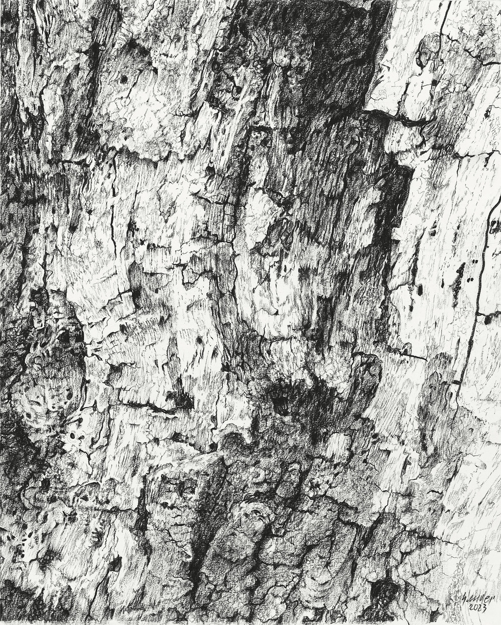 Hugo Ender - Altersschönheit