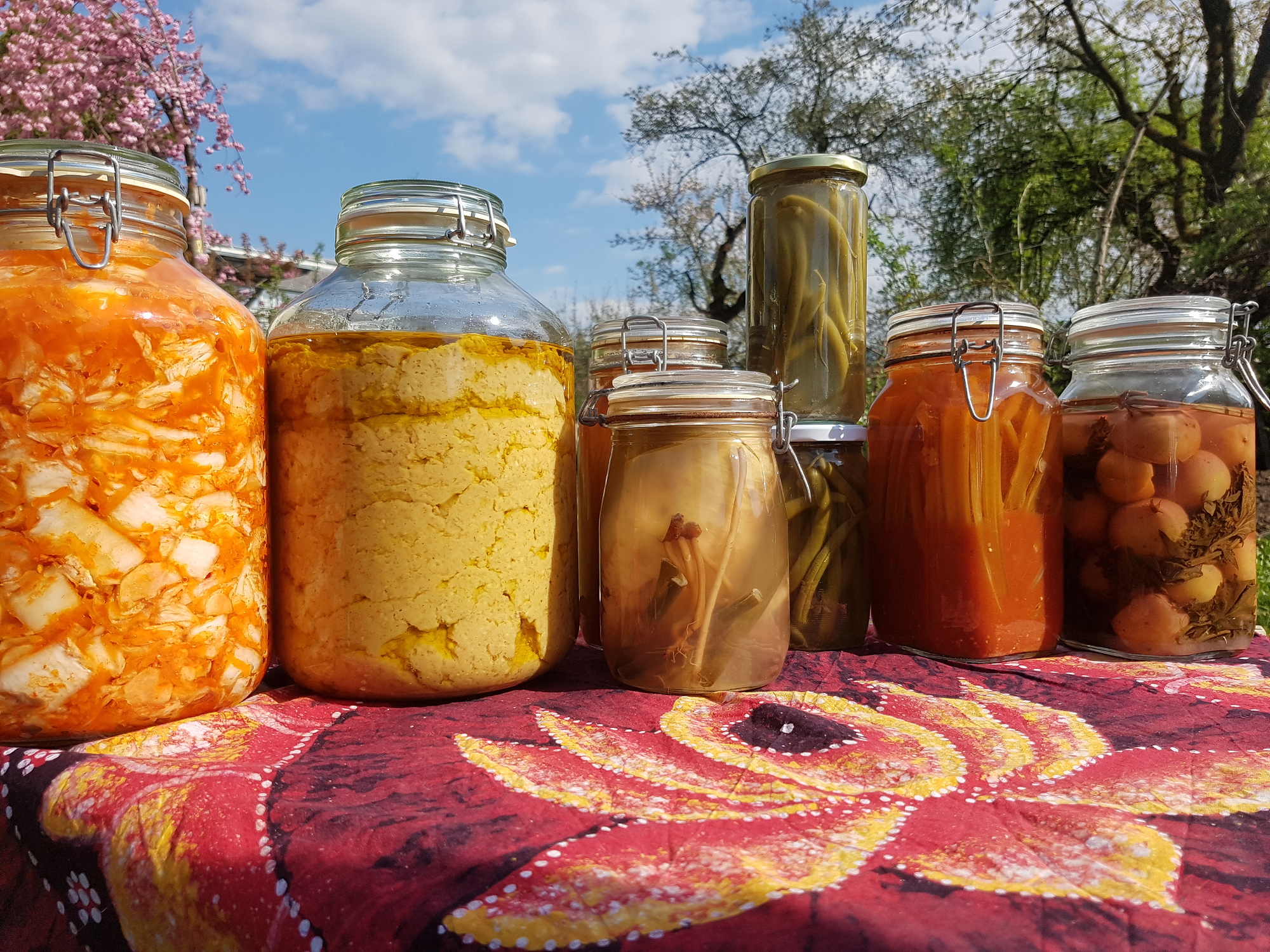 Gemüse-Fermentieren