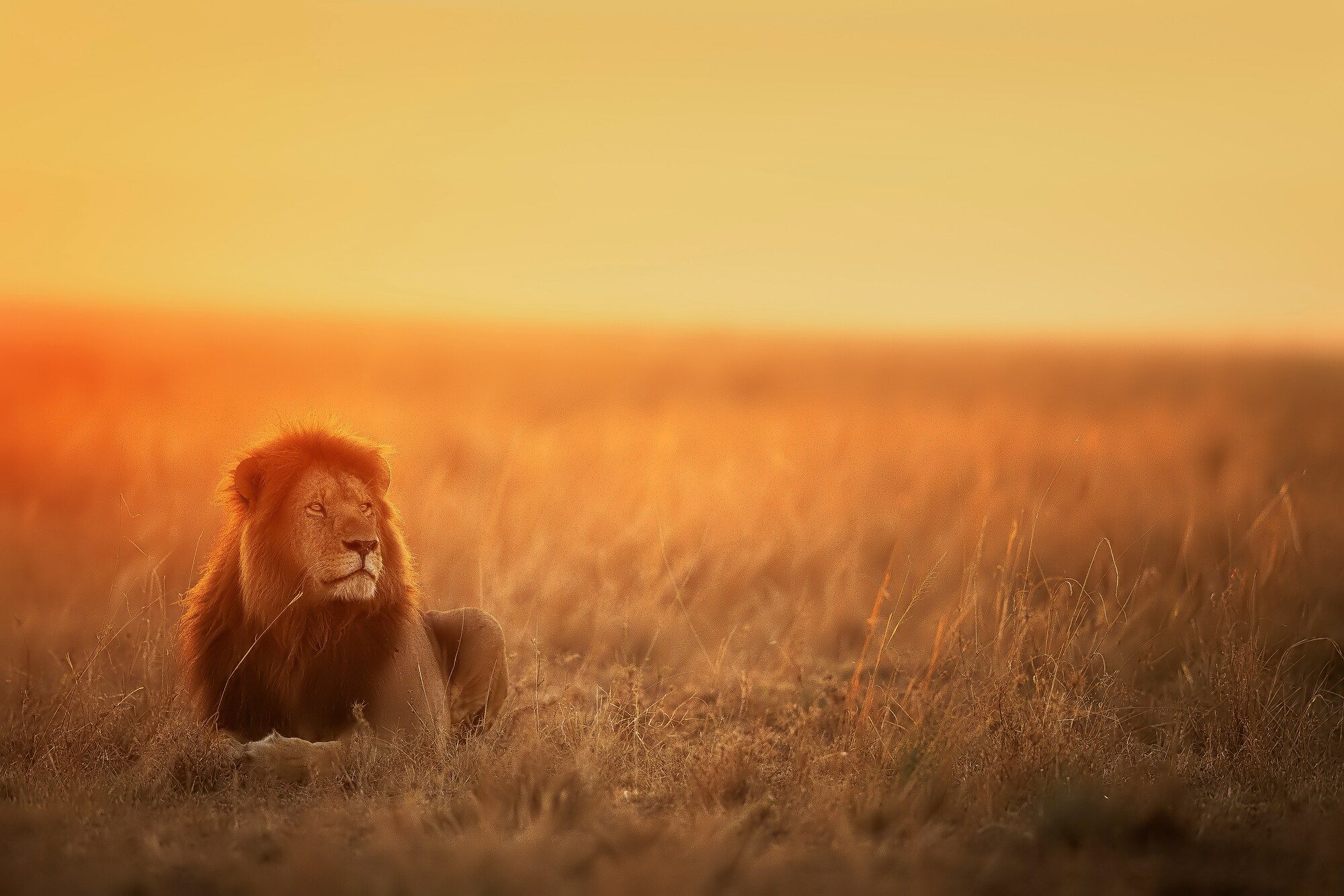 Selbstbewusst und geschützt