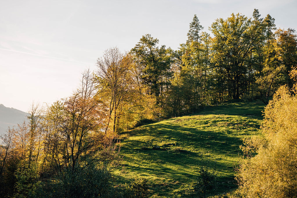 Umgebung von Arbogast